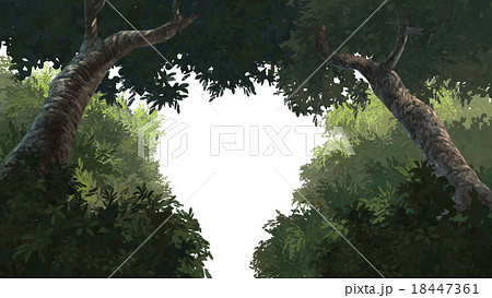 tree and bush foreground 18447361