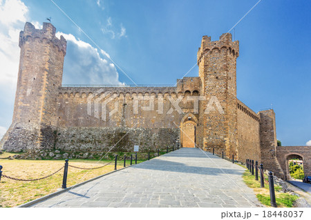 Montalcino castle 18448037