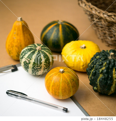 観賞用のかぼちゃの写真素材