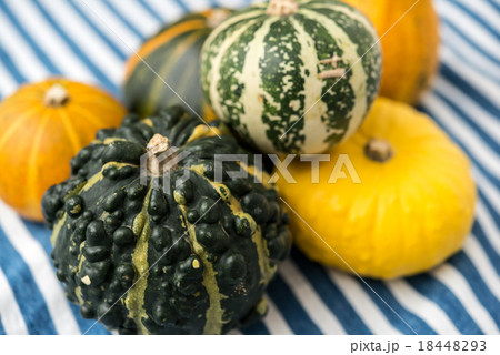 観賞用のかぼちゃ 18448293