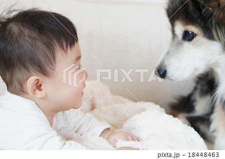 子供と犬の写真素材