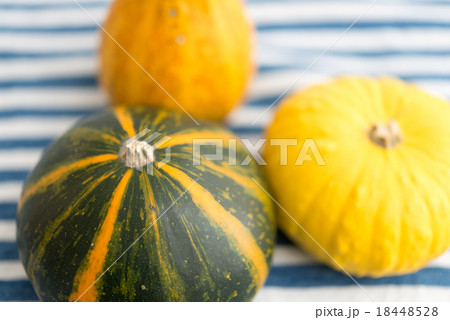 観賞用のかぼちゃ 18448528
