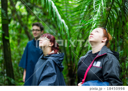 Group Of Tourist Wandering In The Jungle 18450998