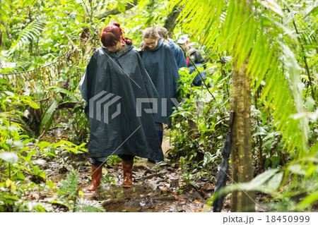 Tourists Group In Amazonia 18450999