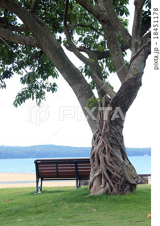 ベンチのある風営 18451178