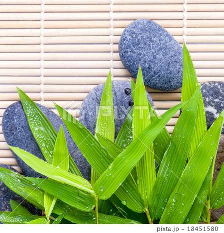 The Stones spa treatment scene on bamboo. The Stones spa treatment scene on bamboo. 18451580