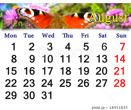calendar for August 2016 with butterfly  18451835