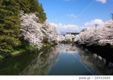 春の松岬公園 18452089