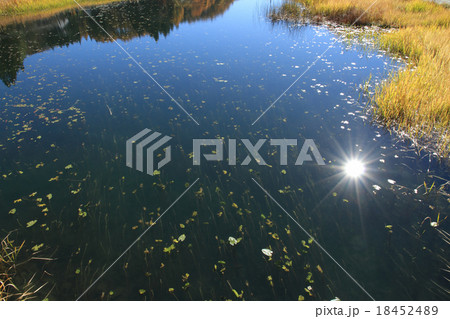午後の太陽を映す湖面 午後の太陽を映す湖面 18452489