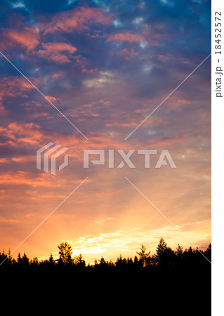 Sunrise over forest sun rays 18452572