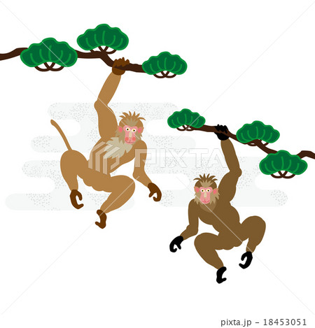 松の木にぶら下がる二匹の猿のイラストのイラスト素材 18453051 Pixta