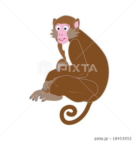 かわいい茶色の猿のイラストのイラスト素材