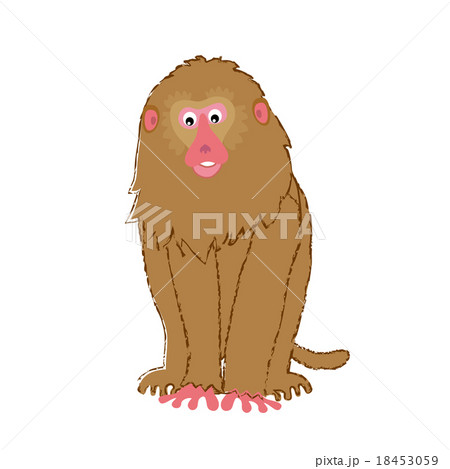 堂々とした茶色のサルのイラストのイラスト素材