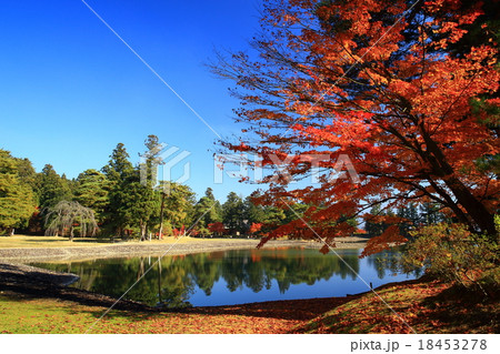 世界遺産 平泉 紅葉の毛越寺 世界遺産 平泉 紅葉の毛越寺 18453278