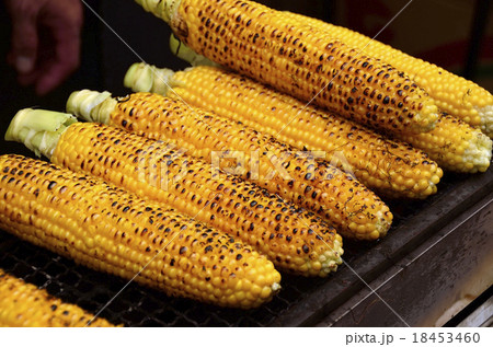 焼きトウモロコシ 18453460