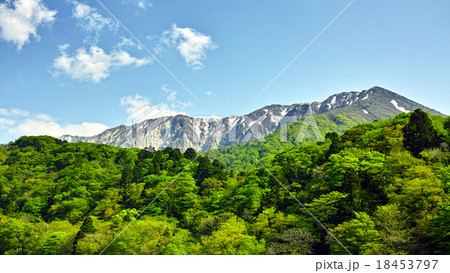 初夏の大山北壁 18453797