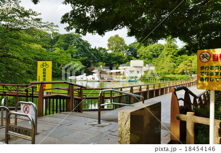 東京観光スポット桜スポット・井の頭恩賜公園の七井橋北側袂から井の頭池ボート乗り場方向・横位置 東京観光スポット桜スポット・井の頭恩賜公園の七井橋北側袂から井の頭池ボート乗り場方向・横位置 18454146