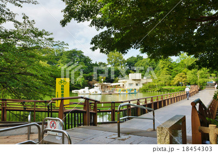東京観光スポット桜スポット・井の頭恩賜公園の七井橋北側袂からの橋を見渡す・人影あり横位置 東京観光スポット桜スポット・井の頭恩賜公園の七井橋北側袂からの橋を見渡す・人影あり横位置 18454303