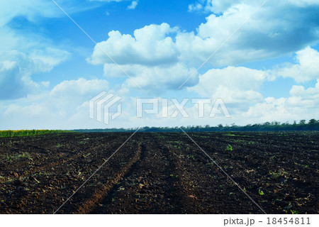 ploughed field with sky ploughed field with sky 18454811