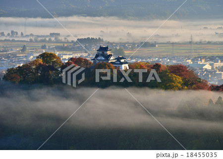 越前大野城 越前大野城 18455035