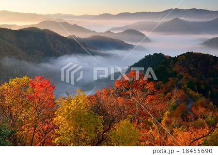 小入峠の紅葉と雲海 小入峠の紅葉と雲海 18455690