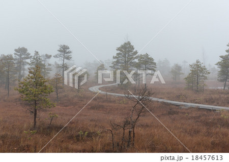 Kemeri National Park 18457613