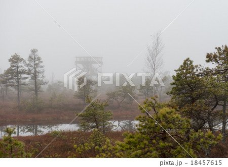 Kemeri National Park 18457615
