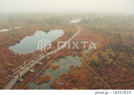 Kemeri National Park 18457619
