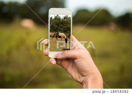 Women hand using smart phone with take photo Women hand using smart phone with take photo 18458392