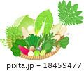冬の旬野菜ザル盛り 18459477