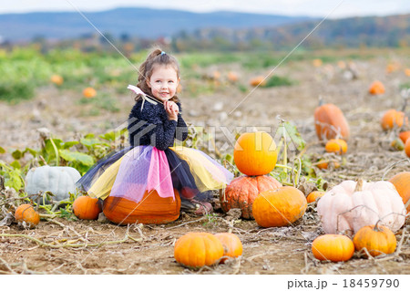 little girl wearing halloween fairy costume on pumpkin patch 18459790