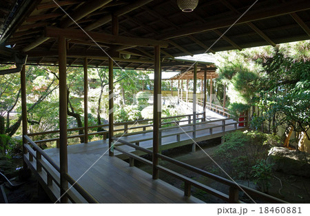 柴又帝釈天の邃渓園（すいけいえん） 18460881