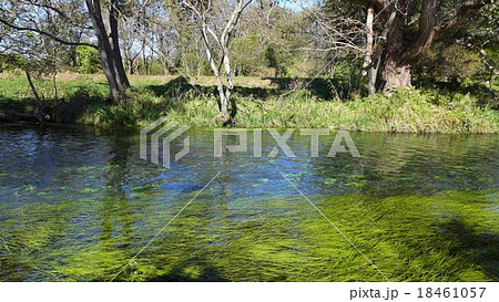 安曇野の澄んだ水 18461057