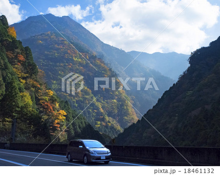 紅葉　寒風山トンネル付近 18461132