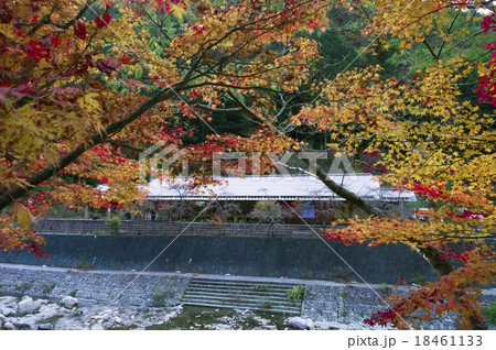 紅葉　木の香温泉 18461133