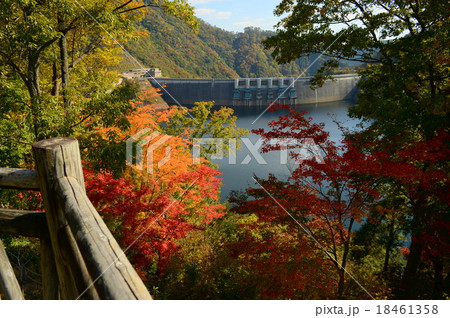 温井ダムの紅葉 温井ダムの紅葉 18461358