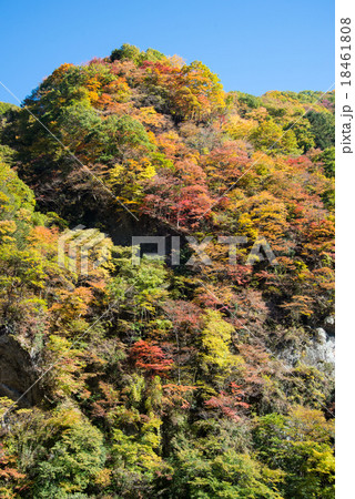 奥秩父・金蔵落しの渓流の紅葉 18461808