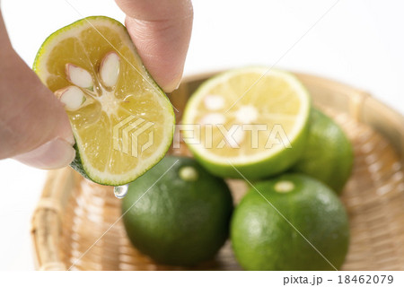 柑橘 柑橘 18462079