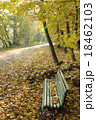 Park bench with autumn leaves 18462103