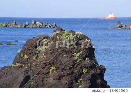 八丈島 八丈島 18462569