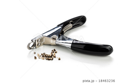 Closeup on nails with clipper as background 18463236