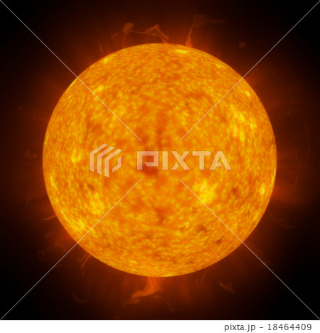 The Sun in Space  18464409