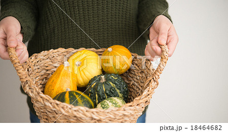 観賞用のかぼちゃ 観賞用のかぼちゃ 18464682