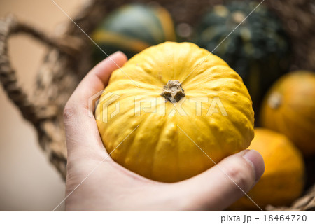 観賞用のかぼちゃ 観賞用のかぼちゃ 18464720