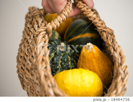 観賞用のかぼちゃ 18464756