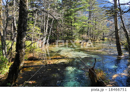 10月上高地45岳沢湿原 10月上高地45岳沢湿原 18466751