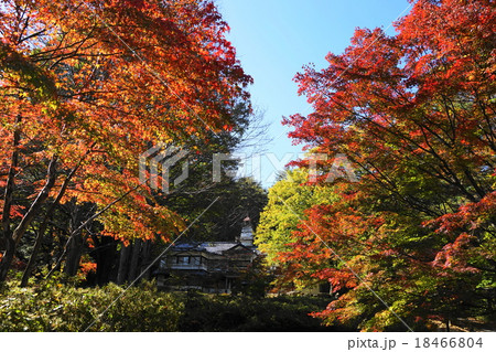 10月安曇野29紅葉の 鐘の鳴る丘集会所 の写真素材