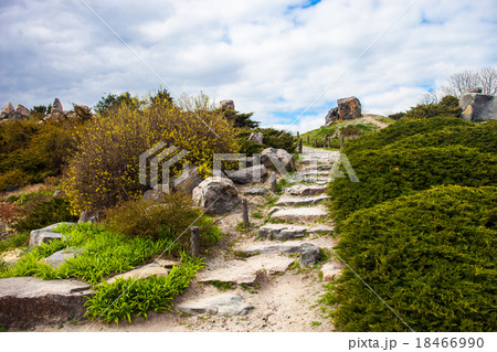 Stony stairs in the rockery in garden Stony stairs in the rockery in garden 18466990
