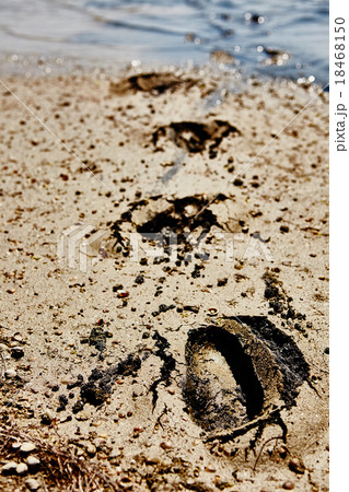 Footprints in the dirt 18468150