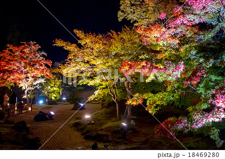 宮城 松島 円通院の紅葉ライトアップの写真素材